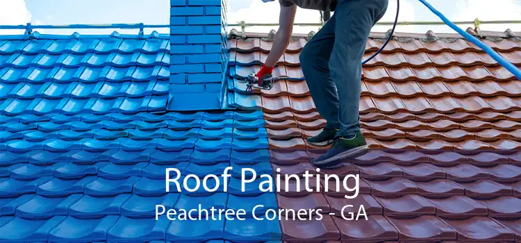 Roof Painting Peachtree Corners - GA