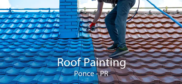 Roof Painting Ponce - PR