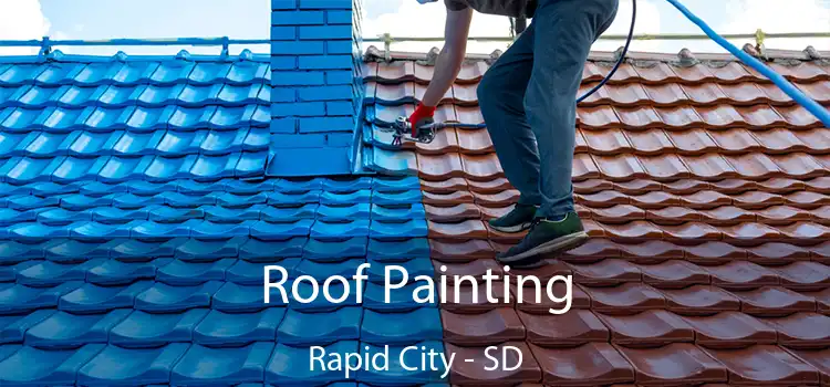 Roof Painting Rapid City - SD