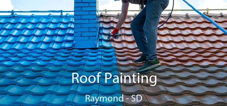Roof Painting Raymond - SD