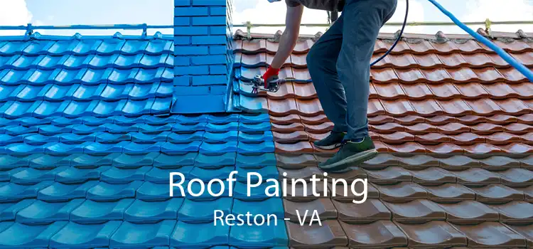 Roof Painting Reston - VA