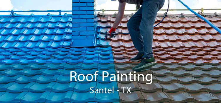 Roof Painting Santel - TX