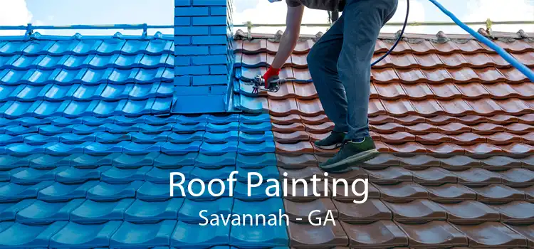 Roof Painting Savannah - GA
