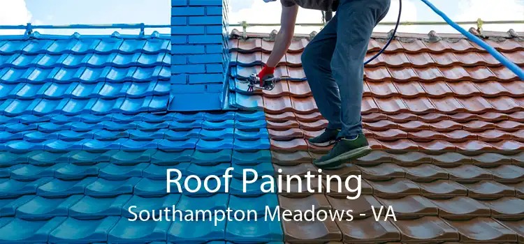 Roof Painting Southampton Meadows - VA