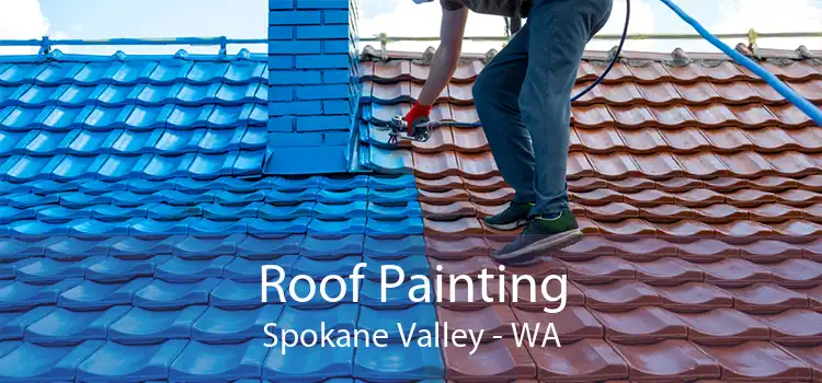 Roof Painting Spokane Valley - WA