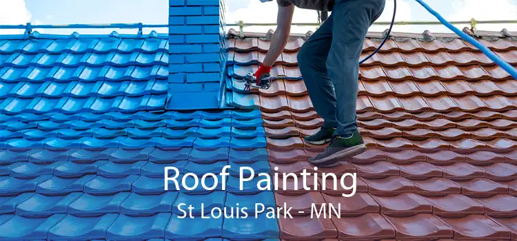 Roof Painting St Louis Park - MN