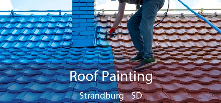 Roof Painting Strandburg - SD