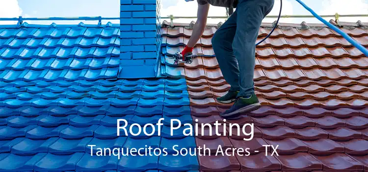 Roof Painting Tanquecitos South Acres - TX