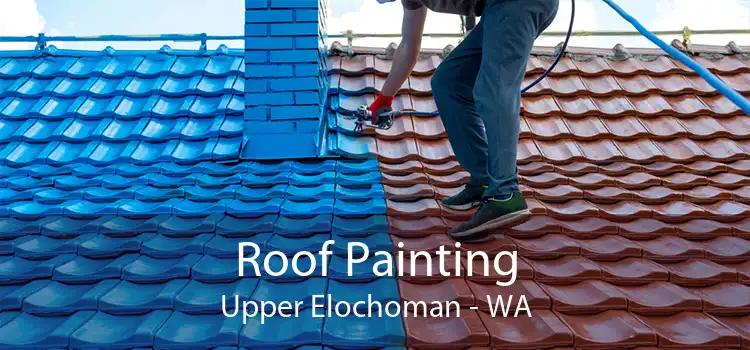 Roof Painting Upper Elochoman - WA