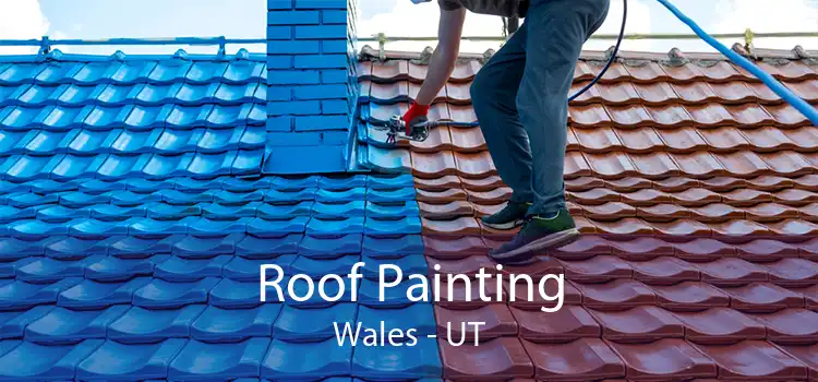 Roof Painting Wales - UT