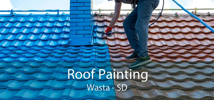 Roof Painting Wasta - SD