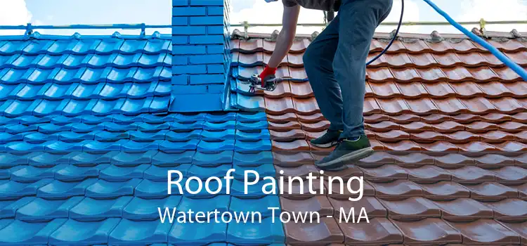 Roof Painting Watertown Town - MA