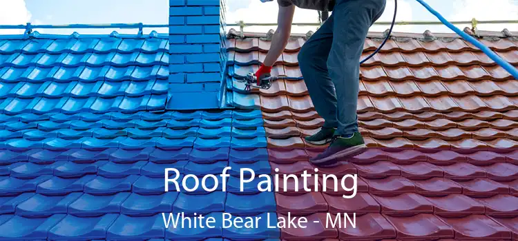 Roof Painting White Bear Lake - MN