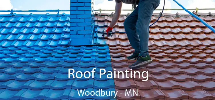Roof Painting Woodbury - MN