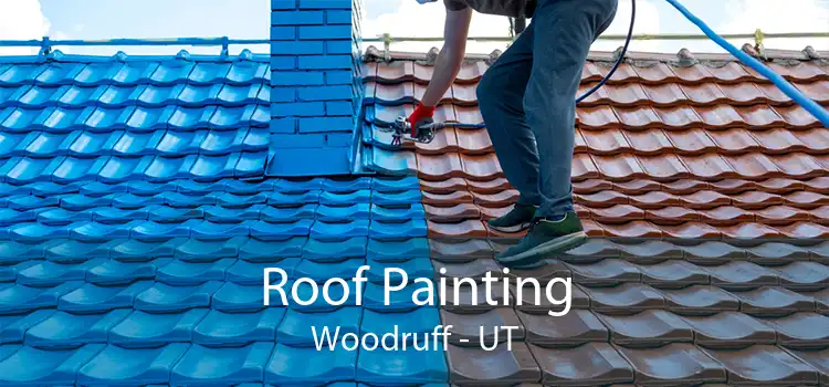 Roof Painting Woodruff - UT