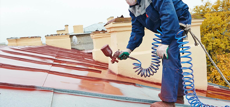 Roof Painting Contractors in Botines, TX