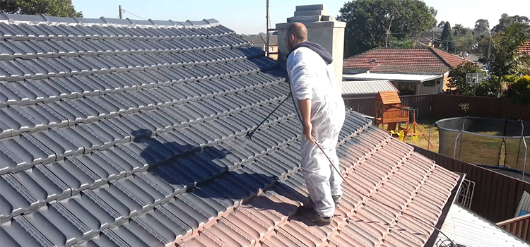 Metal Roof Painting in Chino Hills, CA